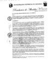 Vista preliminar de documento RA-276