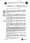 Vista preliminar de documento RA-272