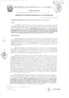 Vista preliminar de documento RGM-341