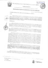 Vista preliminar de documento RGM-318