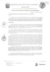 Vista preliminar de documento RGM-326