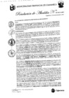 Vista preliminar de documento RA-264