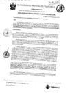 Vista preliminar de documento RGM-317