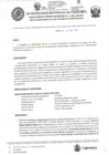 Vista preliminar de documento RGM-311