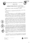 Vista preliminar de documento RGM-303