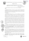 Vista preliminar de documento RGM-300