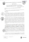 Vista preliminar de documento RGM-310