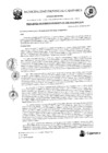 Vista preliminar de documento RGM-258