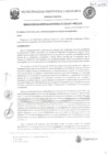 Vista preliminar de documento RGM-239