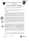 Vista preliminar de documento RGM-238