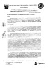 Vista preliminar de documento RGM-243