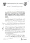 Vista preliminar de documento RGM-241