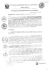 Vista preliminar de documento RGM-234