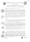 Vista preliminar de documento RGM-231