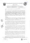 Vista preliminar de documento RGM-223