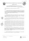 Vista preliminar de documento RGM-218