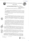 Vista preliminar de documento RGM-197