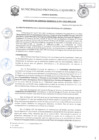 Vista preliminar de documento RGM-201