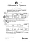 Vista preliminar de documento FE ERRATAS RA-185