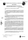 Vista preliminar de documento RGM-172