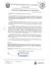 Vista preliminar de documento RGM-170