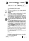 Vista preliminar de documento RA-176