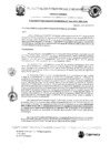Vista preliminar de documento RGM-163
