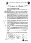 Vista preliminar de documento RA-172