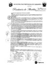 Vista preliminar de documento RA-174