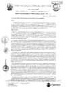 Vista preliminar de documento RGM-156