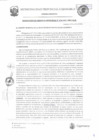 Vista preliminar de documento RGM-154