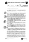 Vista preliminar de documento RA-133
