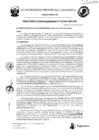 Vista preliminar de documento RGM-119