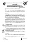 Vista preliminar de documento RGM-113