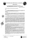 Vista preliminar de documento RGM-115