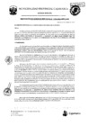 Vista preliminar de documento RGM-114
