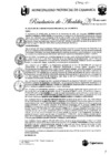 Vista preliminar de documento RA-110