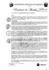 Vista preliminar de documento RA-106