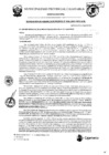 Vista preliminar de documento RGM-96