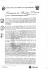 Vista preliminar de documento RA-95 (2)