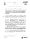 Vista preliminar de documento RGM-90