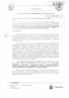 Vista preliminar de documento RGM-91