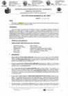 Vista preliminar de documento ROS-48