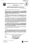 Vista preliminar de documento RGM-62