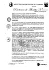 Vista preliminar de documento RA-67