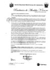 Vista preliminar de documento RA-61