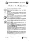 Vista preliminar de documento RA-48