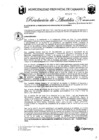 Vista preliminar de documento RA-43