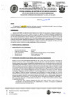 Vista preliminar de documento ROS-43