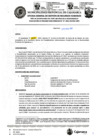 Vista preliminar de documento ROS-37